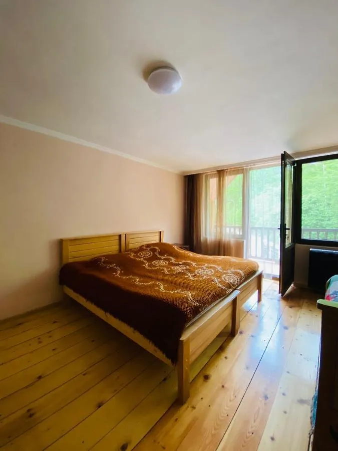 Likani House Borjomi Villa