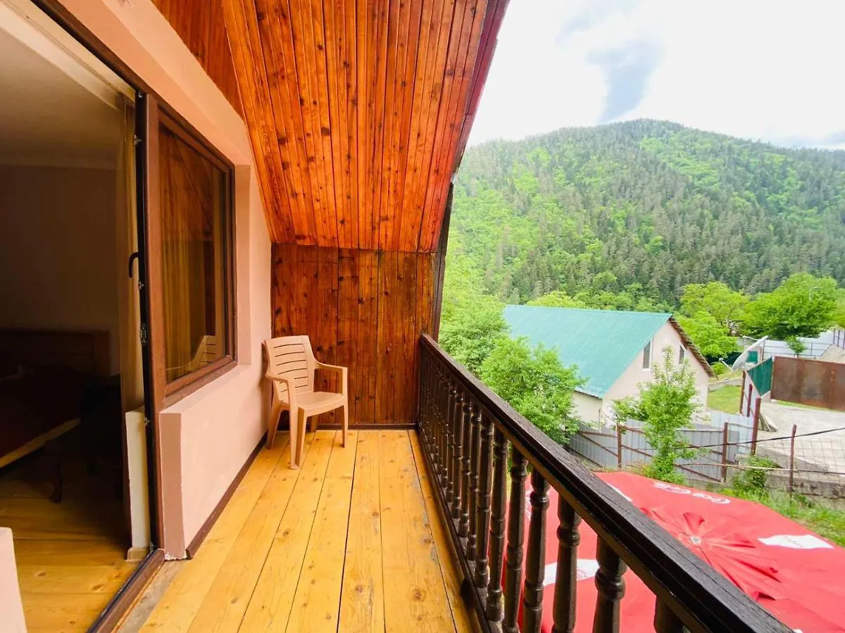 Villa Likani House Borjomi Georgia