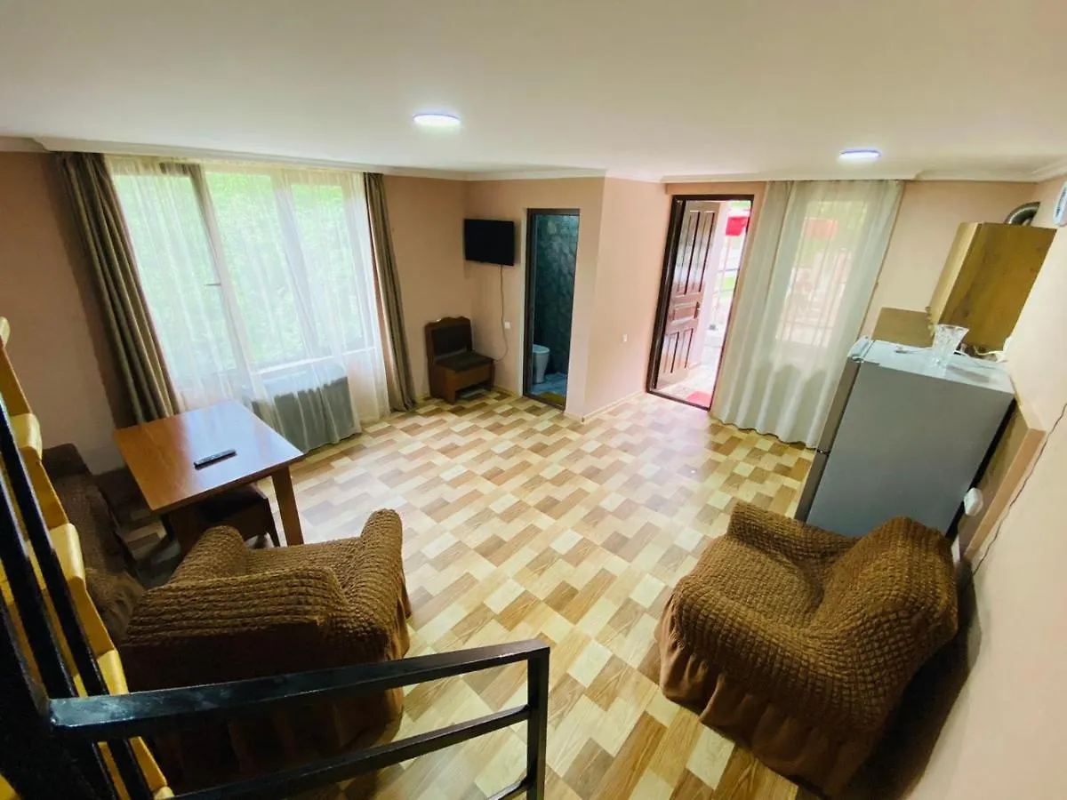 Likani House Borjomi 0*,  Georgia
