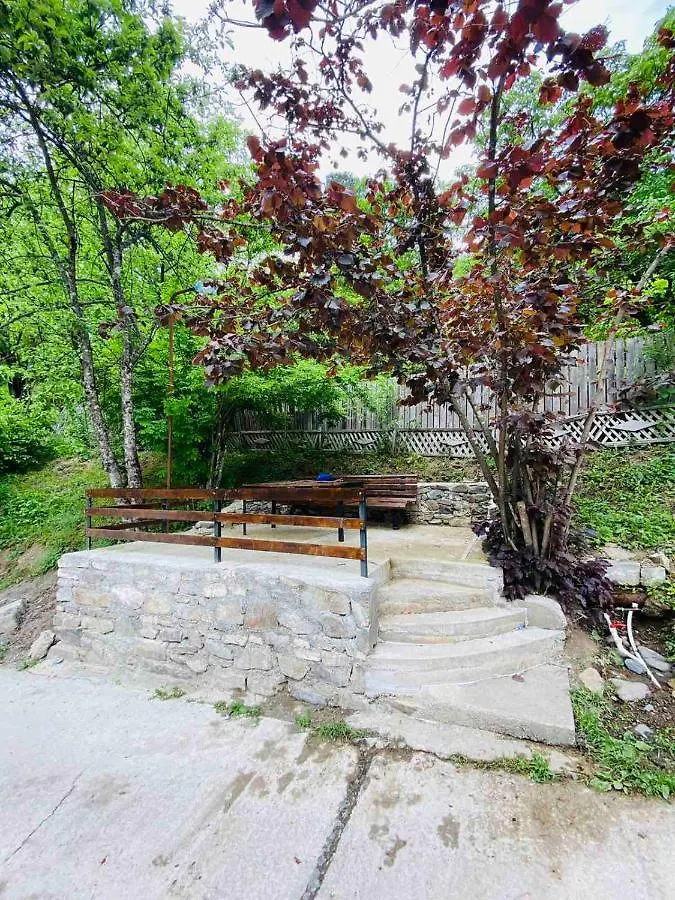 Likani House Borjomi 0*,