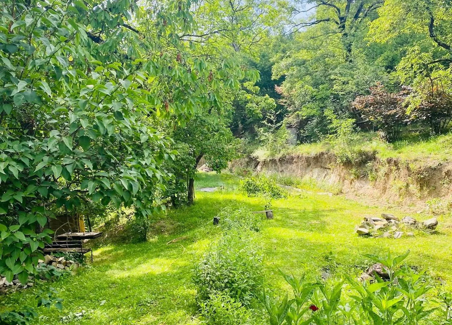 Likani House Borjomi Georgia